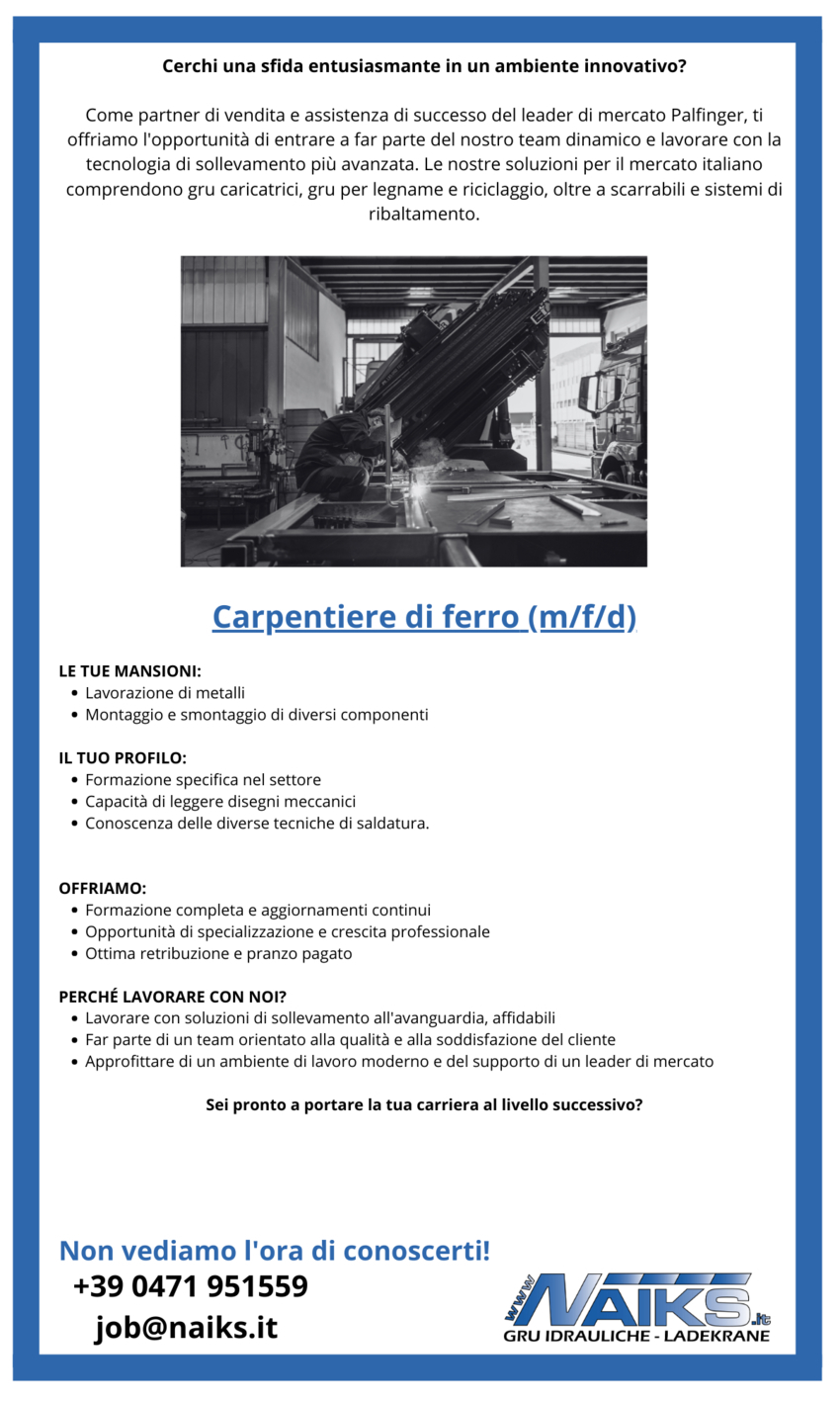 Carpentiere di ferro (m/f/d)