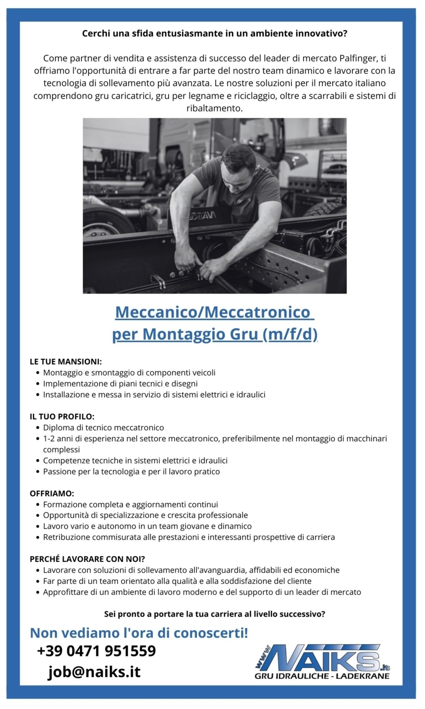 Meccanico / Meccatronico per montaggio gru 