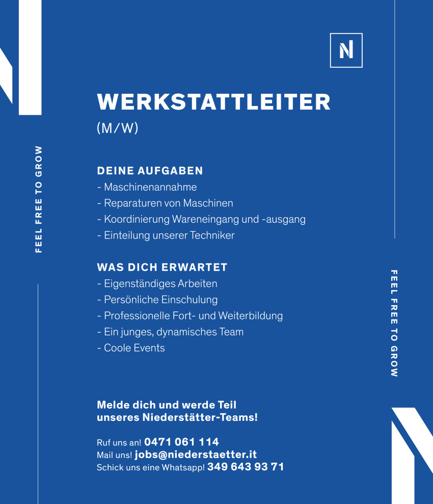 Werkstatt Teamleiter (m/w/d)