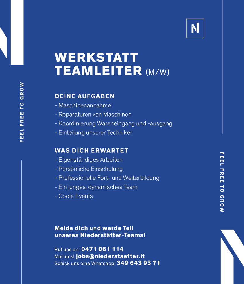 Werkstatt Teamleiter (m/w/d)